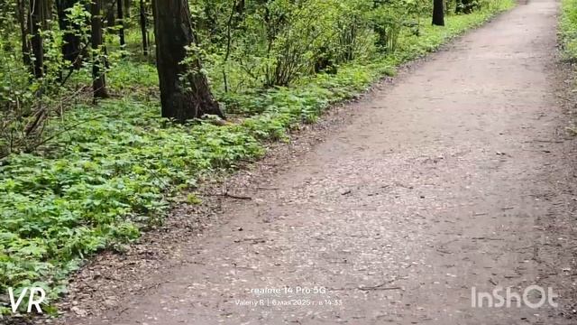 Белка #27/Squirrel #27   06.05.2025
