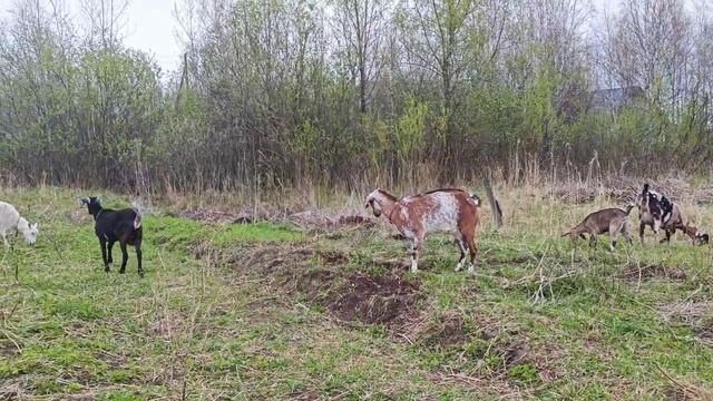 Вот такое у нас настроение