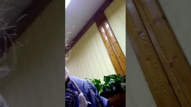 Приветики зайчики )