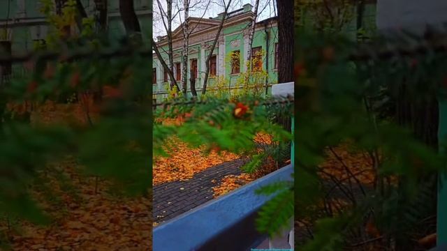 Дом учёных! Улица Пречистенка!