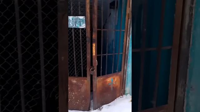 Бомбоубежище. Эхо прошлого