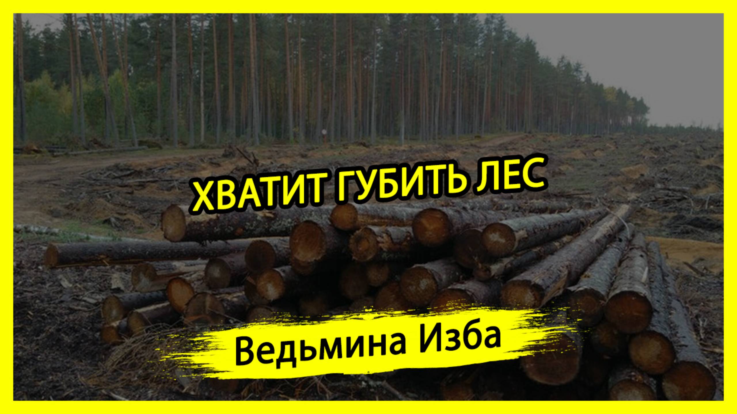 ХВАТИТ ГУБИТЬ ЛЕС. #ВЕДЬМИНАИЗБА ▶️ #МАГИЯ
