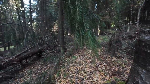 Страйкбол Междуреченск "Сыркаши" 06.10.2024.