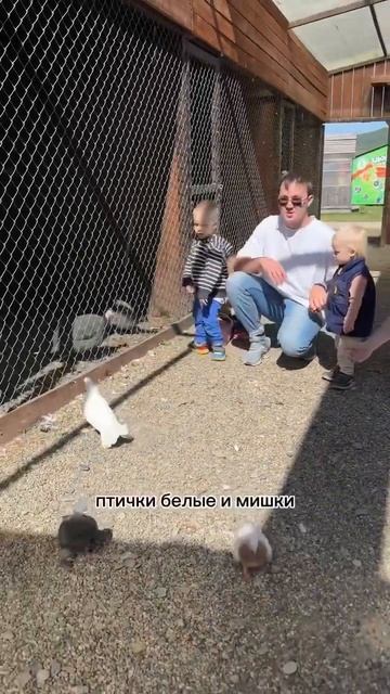 А вы уже были в зоопарке «белый Лев»?мы обожаем это ме