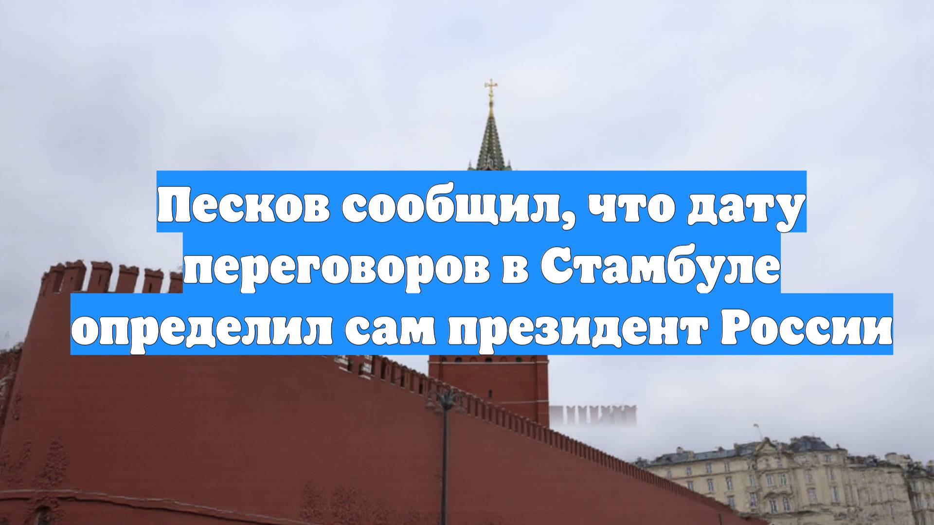 Песков сообщил, что дату переговоров в Стамбуле определил сам президент России
