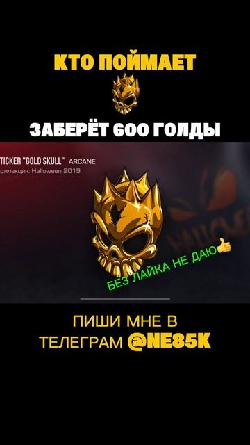 1747213578335.mp4