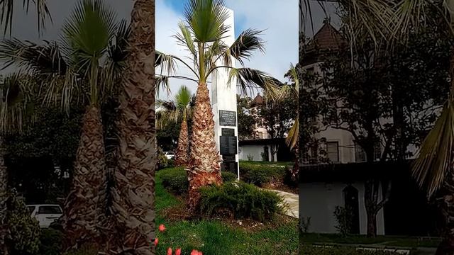 Сочи. Лазаревское. Красота на Калараш. Это было вчера, ?