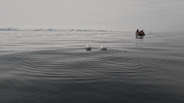 Вот и поговорили. So we talked.