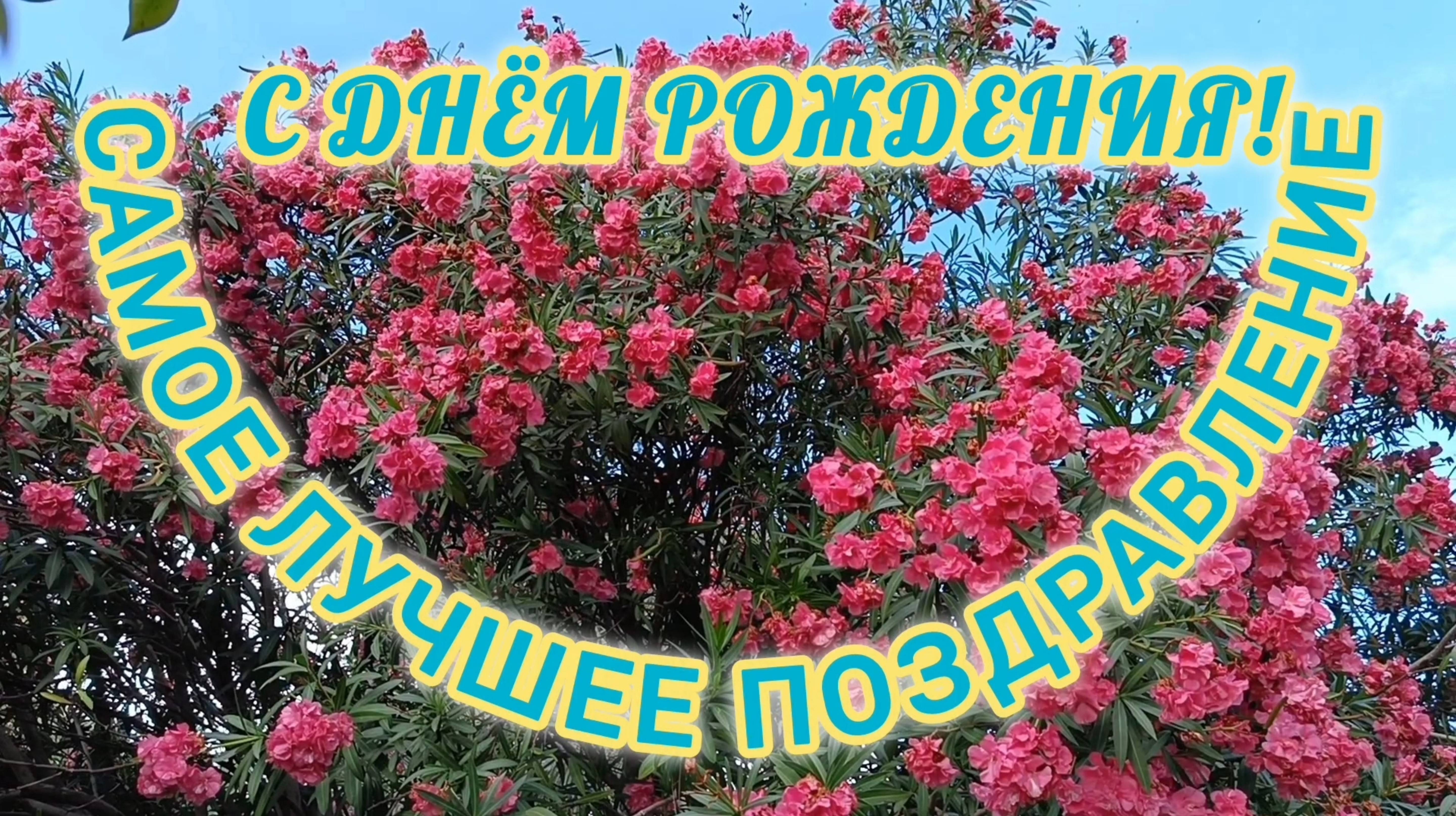 С ДНЁМ РОЖДЕНИЯ🎂🎁🎉! САМОЕ ЛУЧШЕЕ ПОЗДРАВЛЕНИЕ🎊🎉.