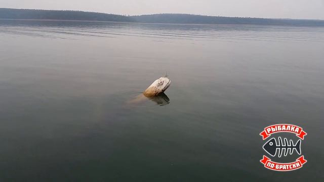 Чудовище Братского моря. Увидеть и не умереть!
