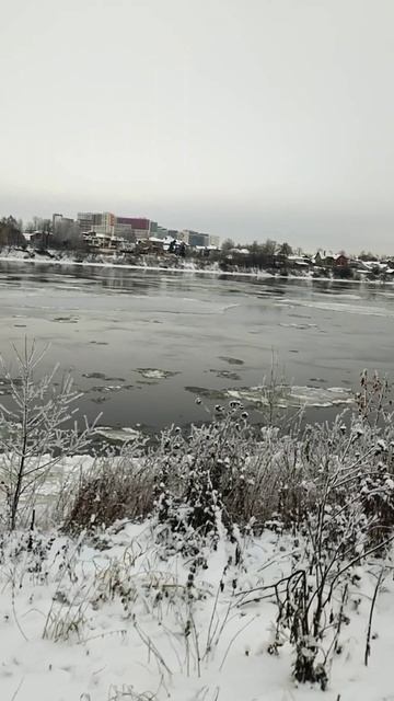 Катаюсь на лыжах. 26 ноября 2023. Снега еще мало.
