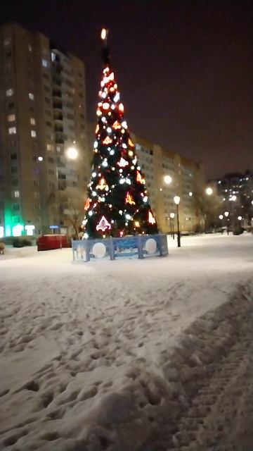 Новогодняя елка в сквере, окраина Петербурга. 14 января 2024.
