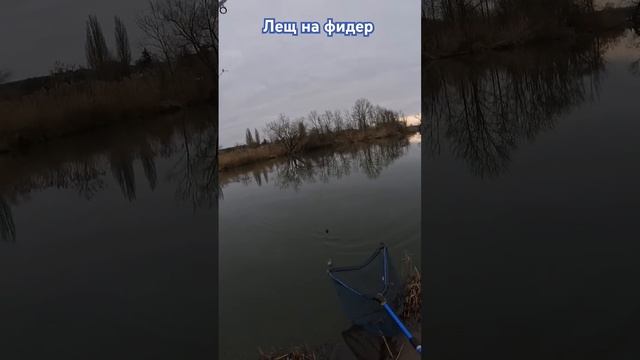 Рыбалка зимой на фидер, Флет. Река Майн Германия Бавар?