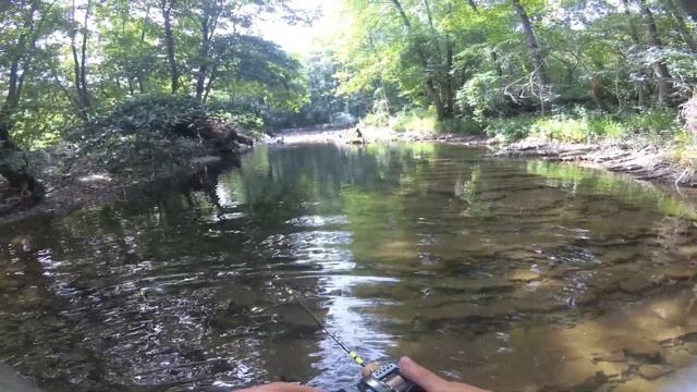в горы на рыбалку
