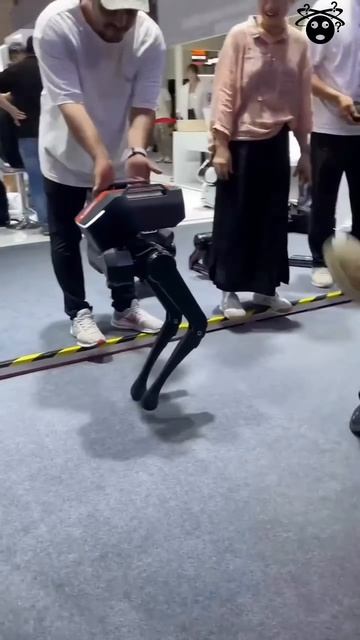 never do anything to unknown robots ￼ !