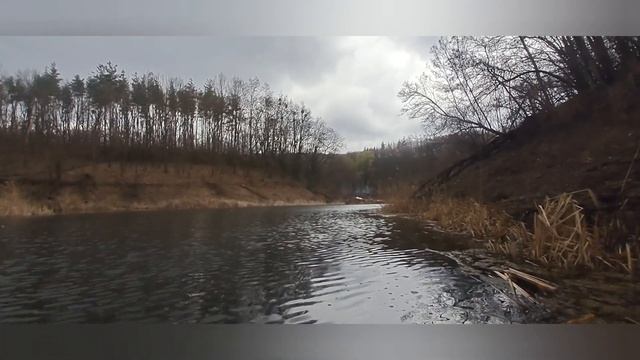 Рыбалка на спининг в лесном озере! Поставил кружки и р?