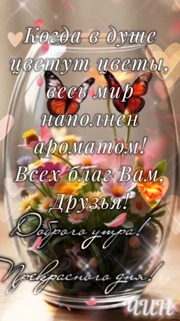 Доброе утро, Друзья! Прекрасного Вам нового дня!