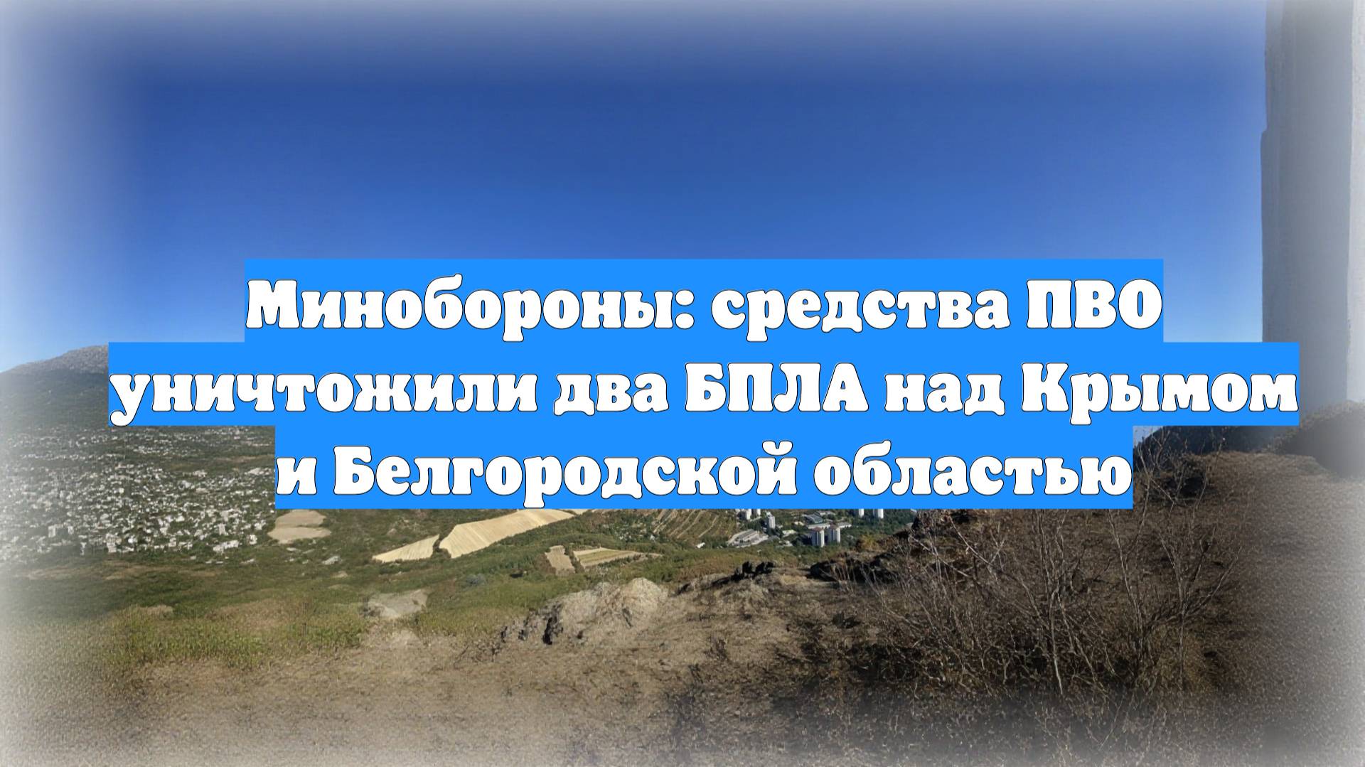 Минобороны: средства ПВО уничтожили два БПЛА над Крымом и Белгородской областью