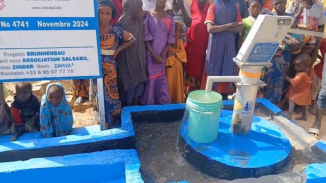 Puits / Колодец №: 4741 Niger