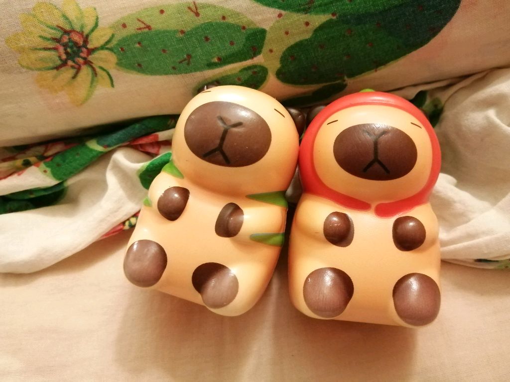 КаПиБаРы сквиши!