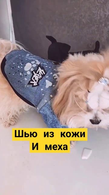шью из кожи и меха для🌏🐕 #ручная_работа
