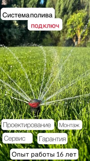 WhatsApp Video 2025-05-14 at 20.52.43