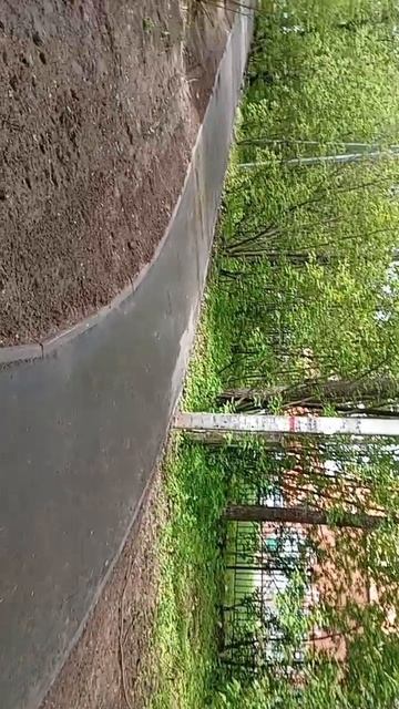 scene_output.mp4