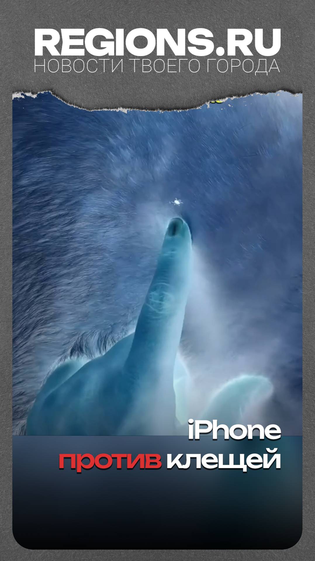 iPhone против клещей