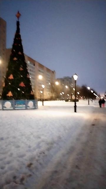 Новогодняя елка в сквере, окраина Петербурга. 18 декабря 2023.
