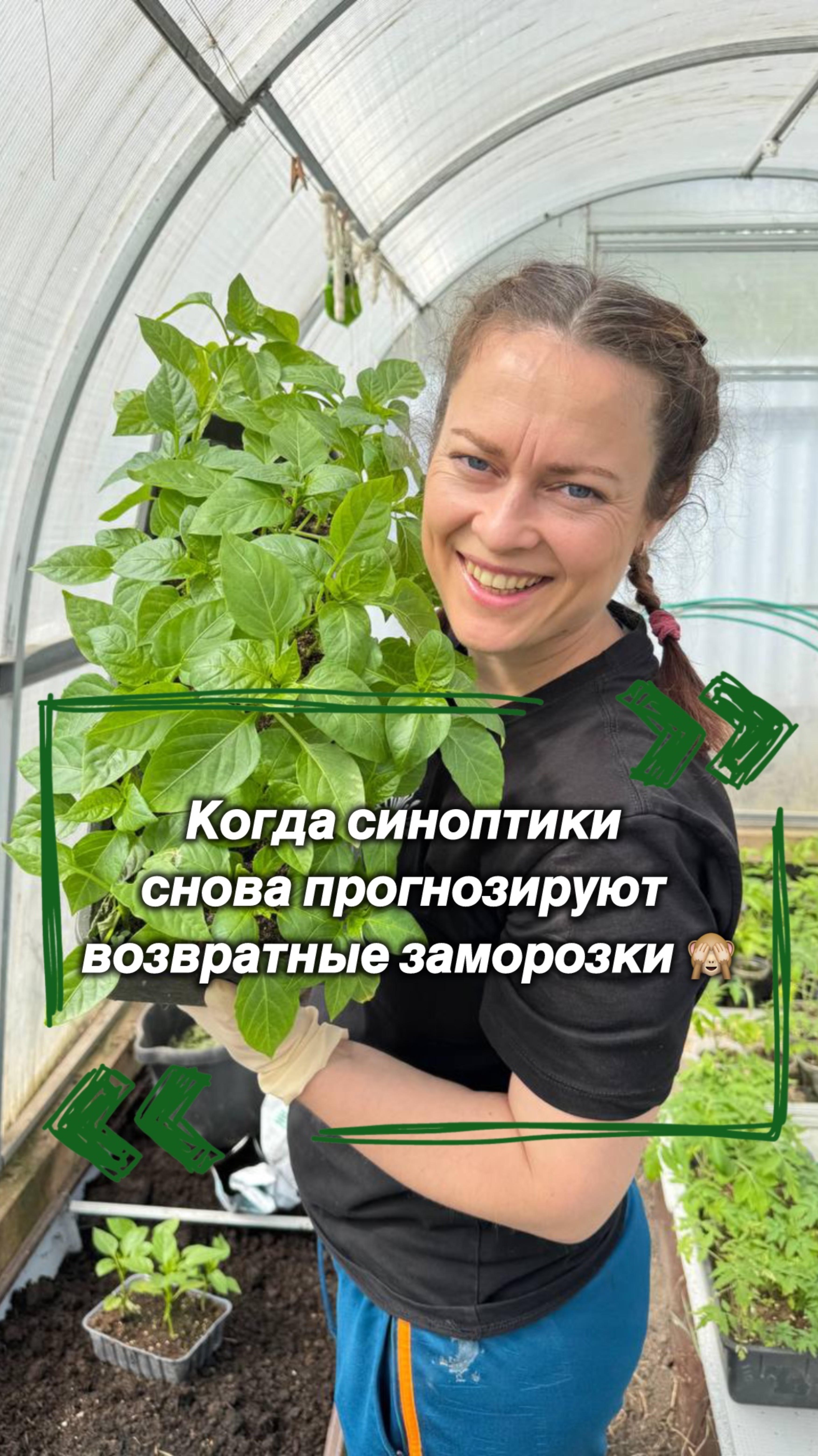 Когда синоптики снова прогнозируют возвратные заморозки