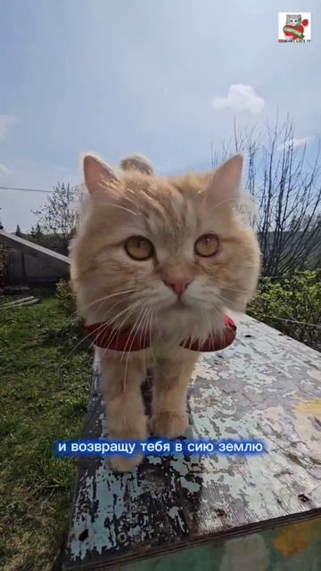 и вот Я с тобою 😇🌈💓🙏😻