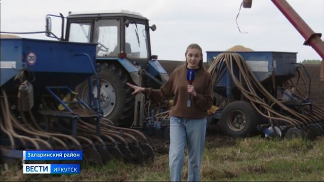 В Сибирском институте физиологии и биохимии растений ученые вывели четыре сорта сои наиболее подходя