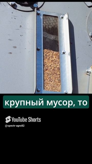Очистка пшеницы часть 1