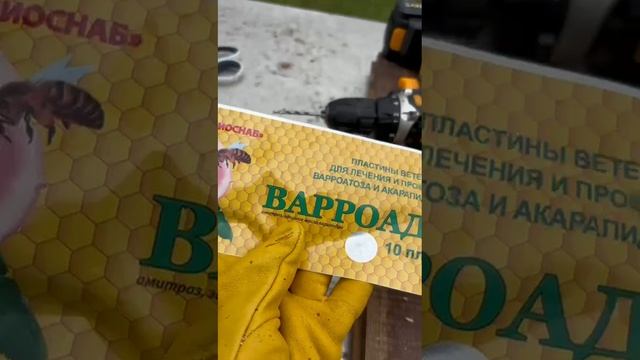 Обработка пчёл от клеща Варроа