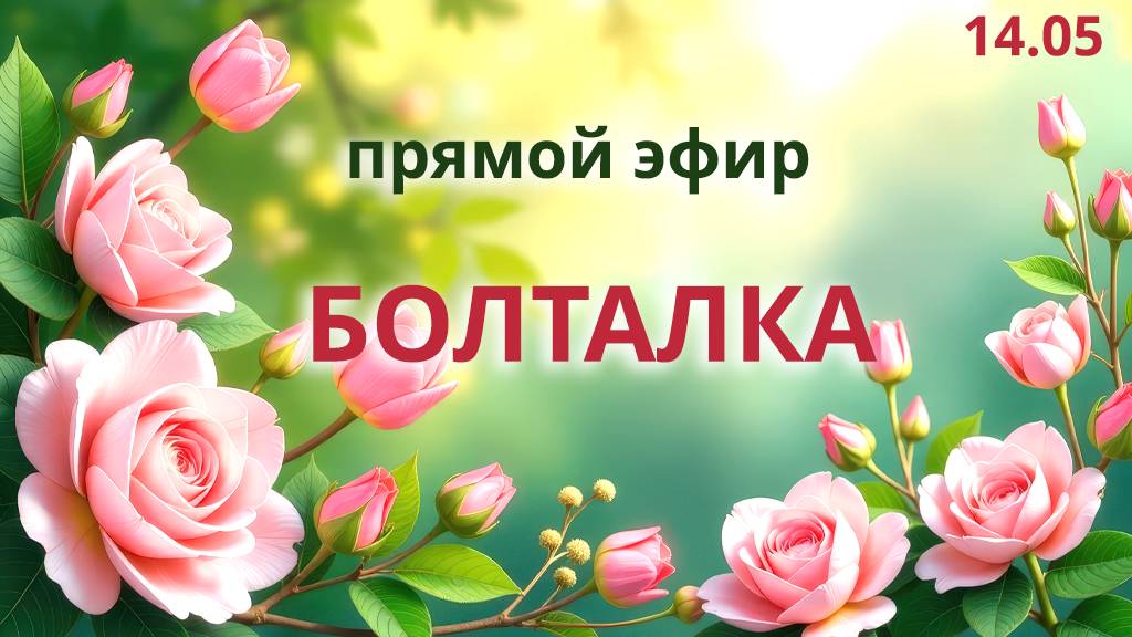 Болталка: общение на разные темы.