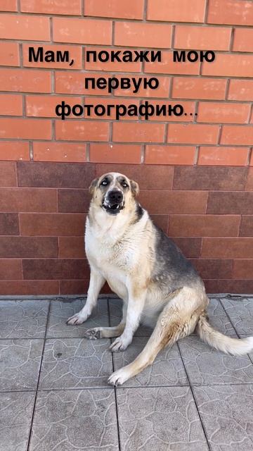 Мася❤️