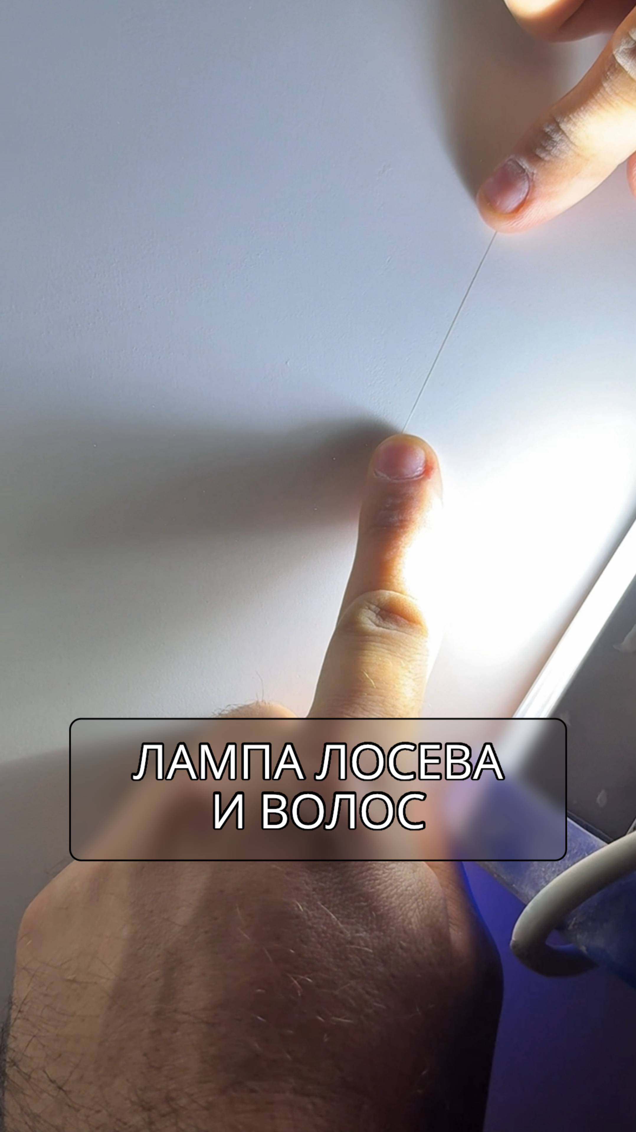 СТЕНЫ «ПОД ЛОСЯ»