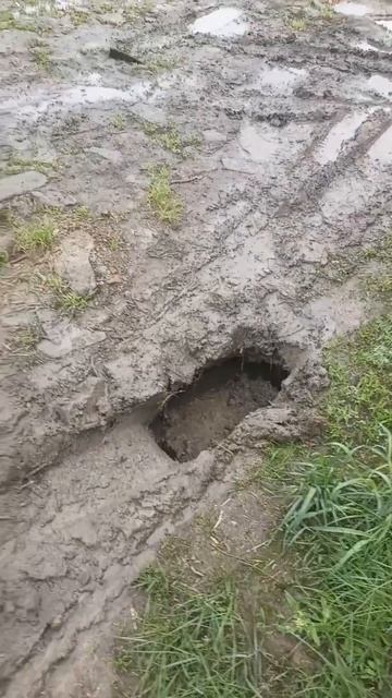 Провалилась земля. В Омске уже 3 день льют дожди.