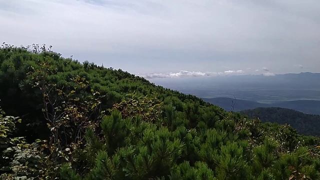 гора Быкова 17.09.23