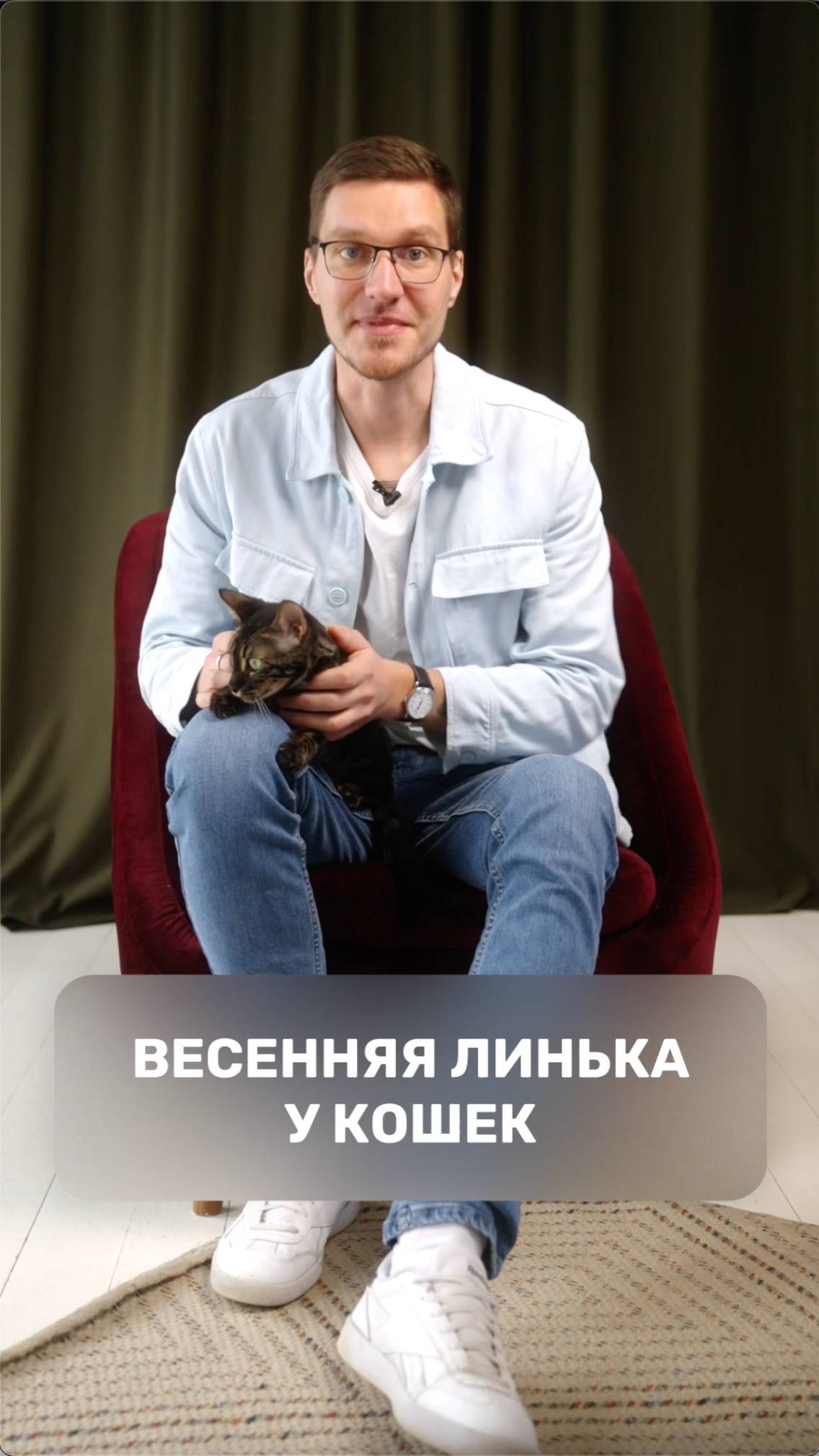Весенняя линька у кошек