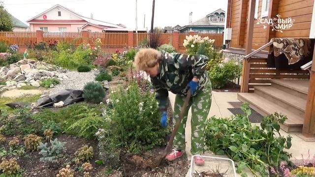 Как выкапывать и хранить мирабилис