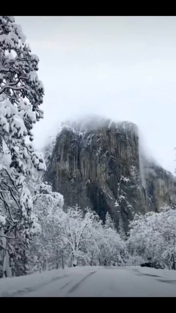 Мечты сбываются главное верить в СЕБЯ ✨