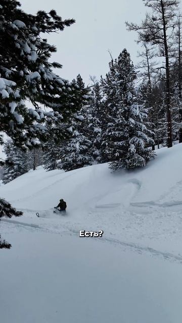 Мечтаешь о трюках? Заказывай свой BRP уже сейчас!