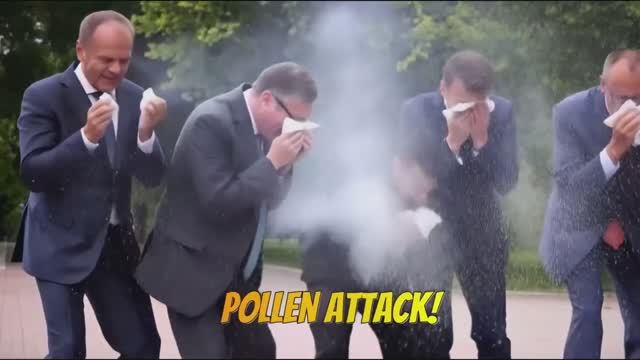 Сезон пыльцы