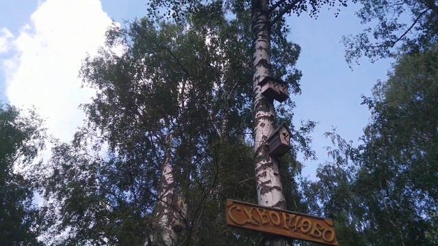 Деревня Скворцово. Московская область.