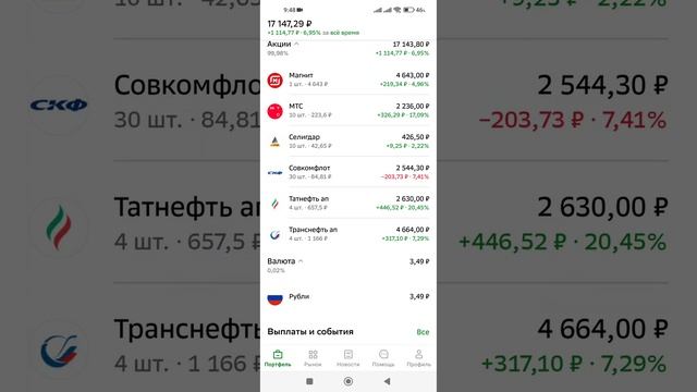 Портфель акций на 21 января 2025 года. Российские акций.