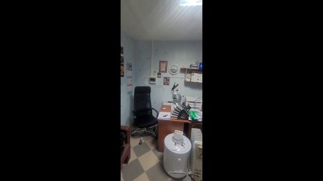 Папина коммерция новое