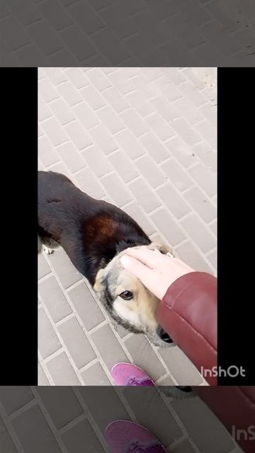 Ничего не бойся я с тобой