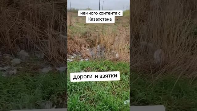 Иностранец из Беларуси был поражён состоянием дорог при въезде в Казахстан.

«Казахстан – это красив