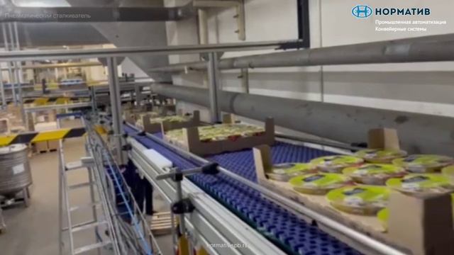 Система для йогуртов в треях: транспортировка и контроль качества по цифровому коду "Честный знак"